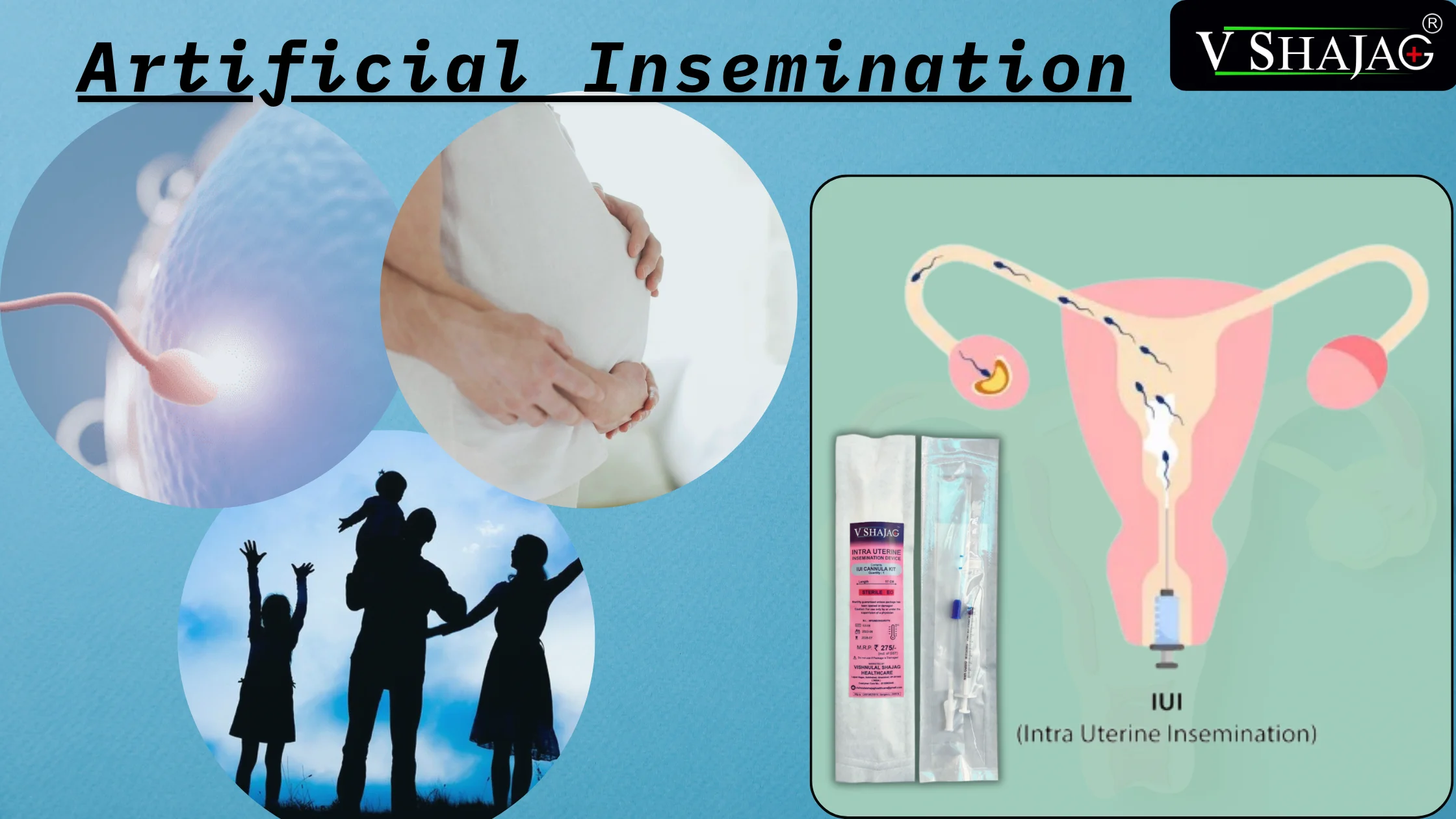 Artificial Insemination